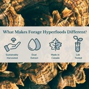 forage-hyperfoods--alcohol-free-canadian-6.jpg