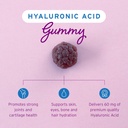hyalogic-chewy-ha-gummies-mixed-berry-fl-4.jpg