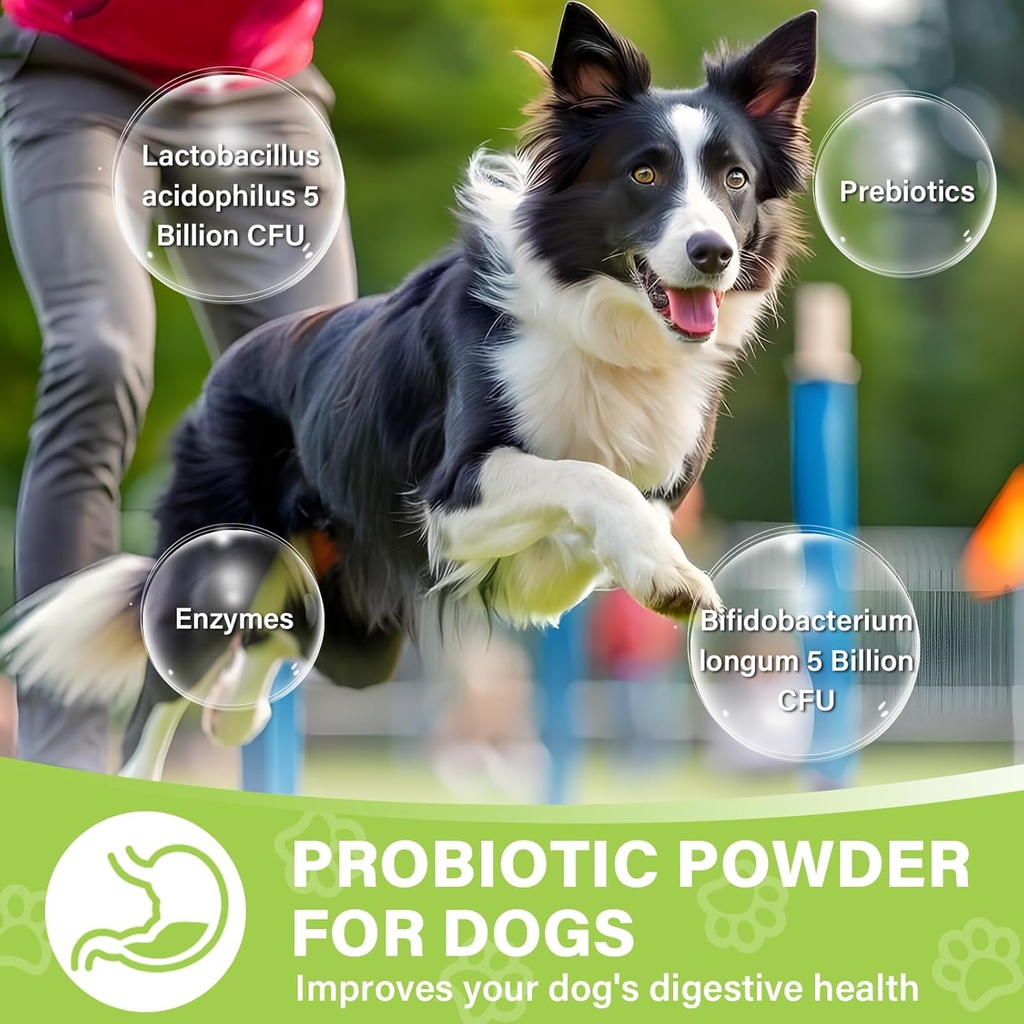 dog-probiotic-powder-digestive-enzymes-1-3.jpg