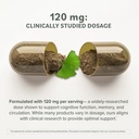 prominent-nutrition-ginkgo-biloba-120mg--3.jpg