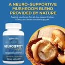 paleovalley-neuroeffect---neuro-mushroom-3.jpg