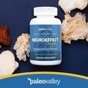 paleovalley-neuroeffect---neuro-mushroom-4.jpg
