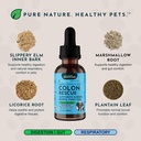 animal-essentials-colon-rescue-for-dogs--3.jpg