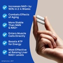 nad-supplement---600mg-pure-nicotinamide-2.jpg