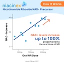 nad-supplement---600mg-pure-nicotinamide-5.jpg