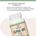 alpha-gpc-choline-brain-supplement-for-a-4.jpg