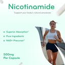 vitamin-b3-nicotinamide-500mg---high-abs-4.jpg