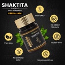 shaktita-capsules-with-keedajadi-infusio-2.jpg