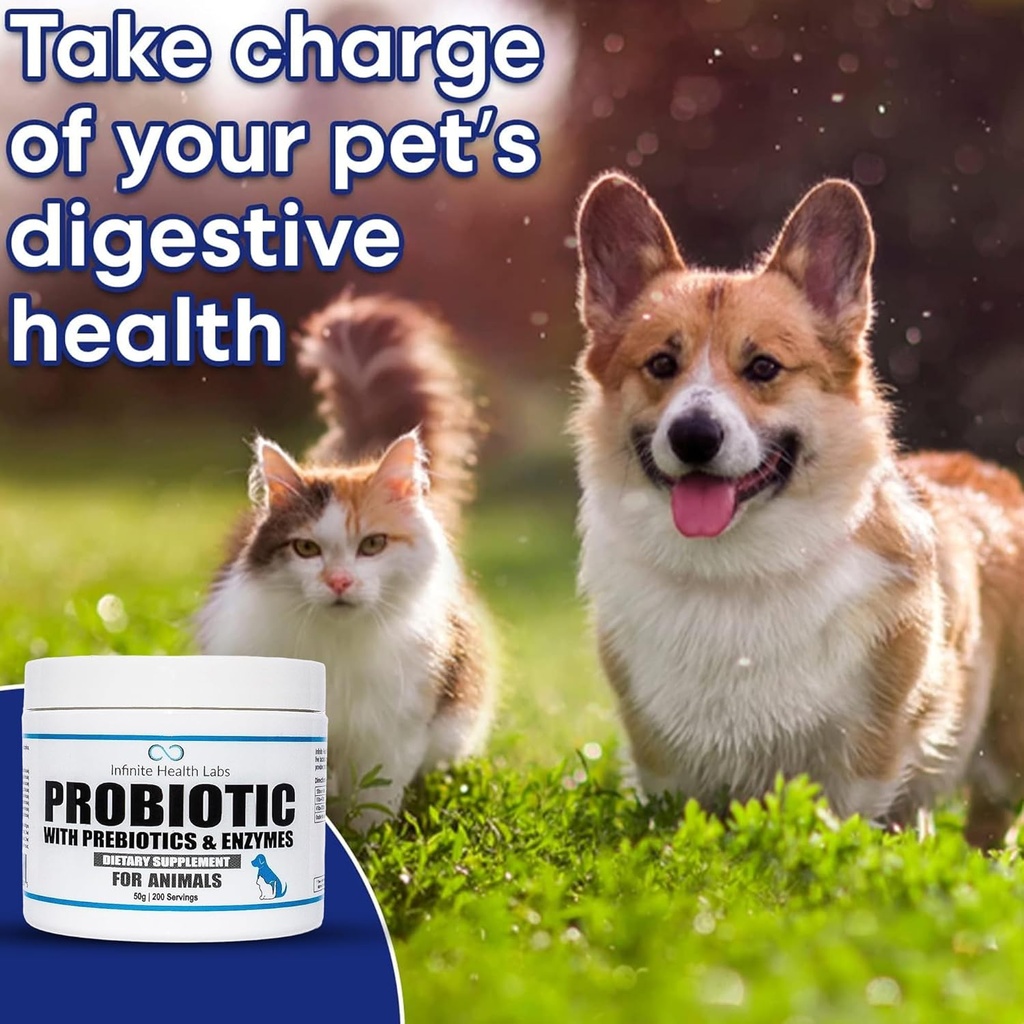 probiotics-for-dogs-and-cats---vet-formu-4.jpg