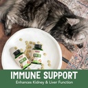now-pet-health-immune-support-supplement-4.jpg