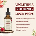 urolithin-a-2000mg-liquid-drops-with-pom-2.jpg