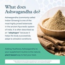 youtheory-ashwagandha-gaba---uses-organi-4.jpg