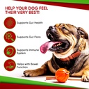 probiotics-for-dogs-and-cats---advanced--5.jpg