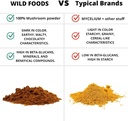 wild-foods-lions-mane-powder-mushrooms-e-4.jpg