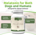 lignans-for-life-melatonin-for-dogs-peop-5.jpg