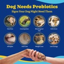 probiotics-for-dogs---dog-probiotics-for-6.jpg