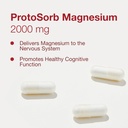 protocol-for-life-balance-magtein---2000-4.jpg