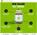antler-farms---100-pure-new-zealand-beef-4.jpg