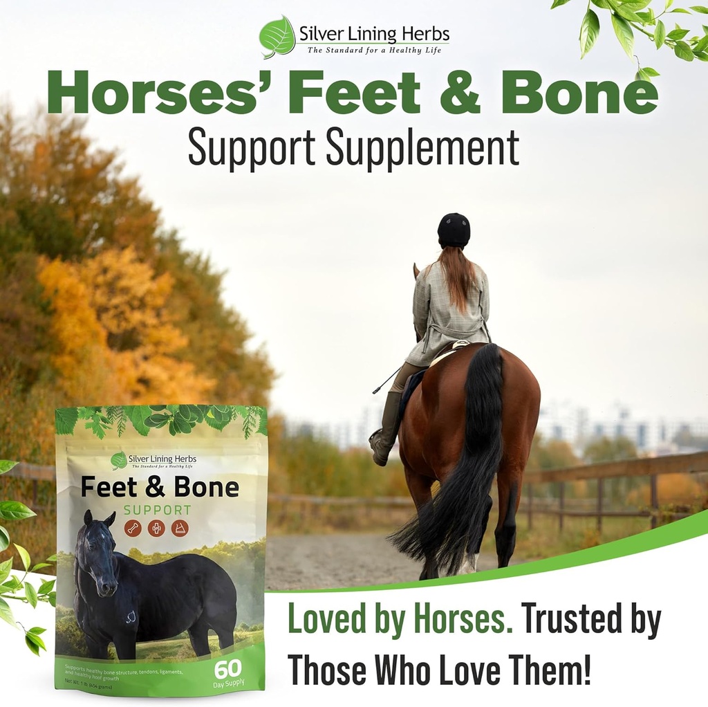 silver-lining-herbs-feet-bone-support-ho-6.jpg