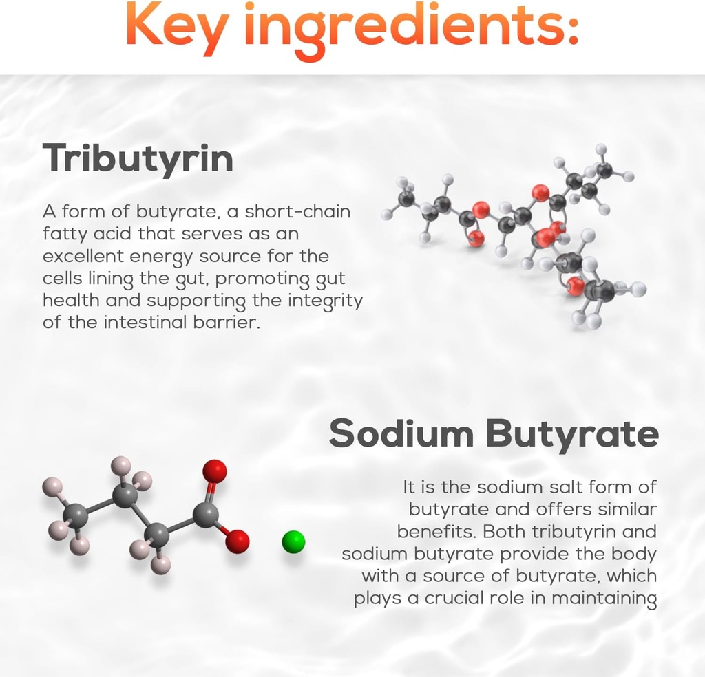 invita-tributyrin-complete-butyrate-supp-3.jpg