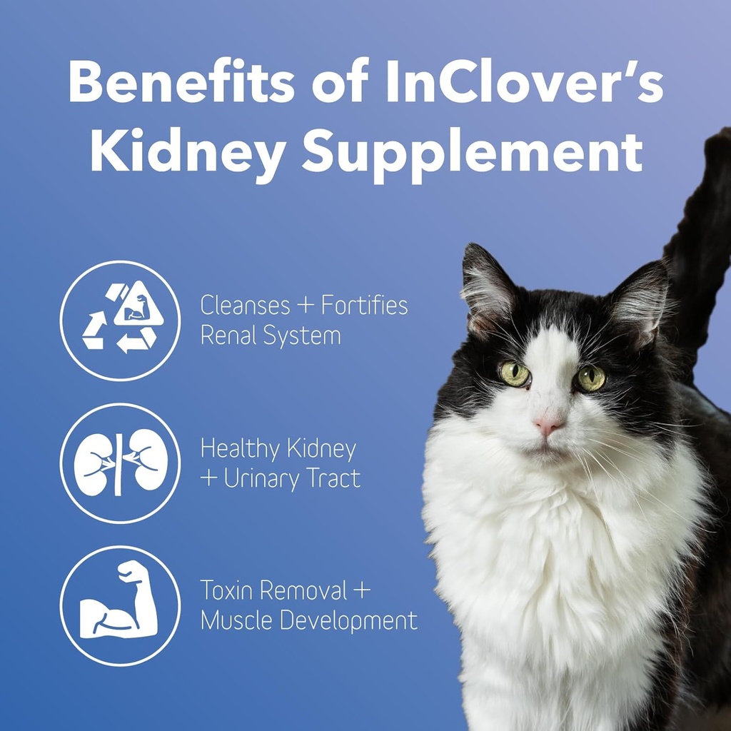 inclover-kidney-bladder-and-urinary-heal-2.jpg