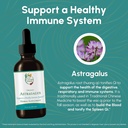 astragalus-tincture---immune-system-supp-2.jpg