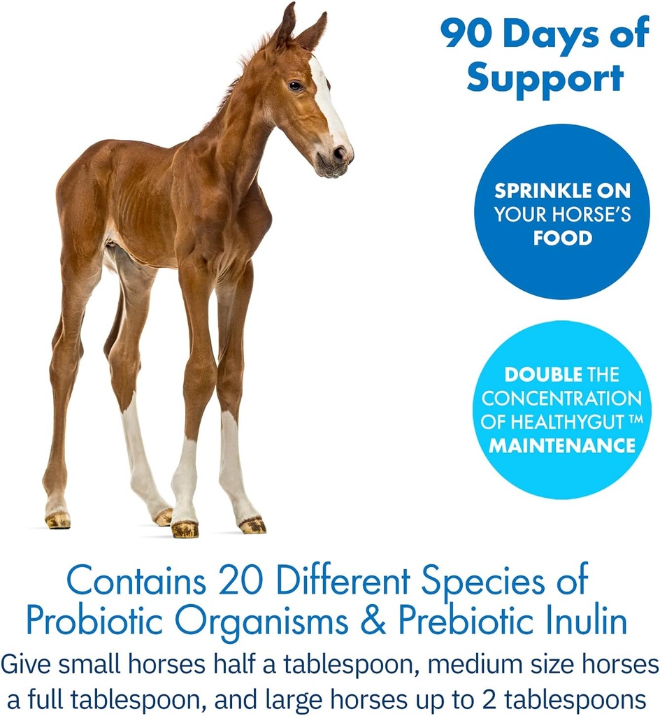healthygutTM-probiotics-for-horses-dieta-5.jpg