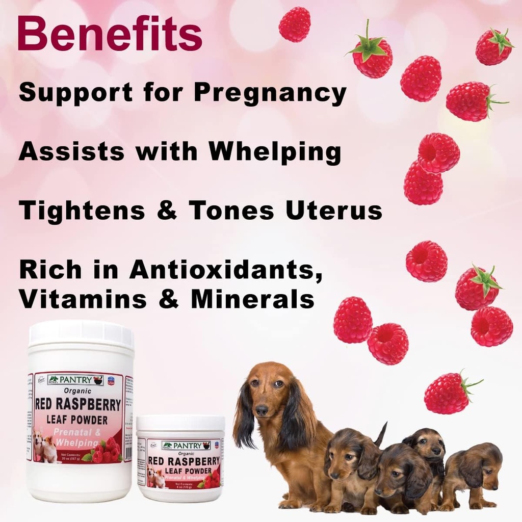 dogzymes-organic-red-raspberry-leaf-powd-3.jpg