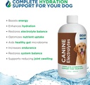 beam-minerals-complete-canine-electrolyt-5.jpg