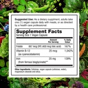plantfusion-vegan-iron-supplements-from--4.jpg