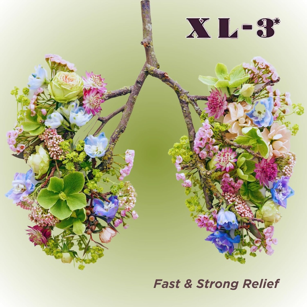 xl-3-allergy-24-hour-allergy-relief-2-pa-2.jpg