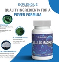 stem-cell---celulas-madres-supplement-fo-5.jpg
