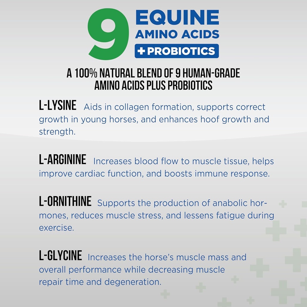 equine-total-recovery-horse-supplement---4.jpg