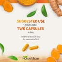 natures-base-turmeric-and-ginger-supplem-6.jpg