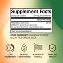 ngl-ginkgo-biloba---90-capsules-plant-po-2.jpg