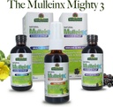 natures-answer-mullein-x-multi-system-co-6.jpg
