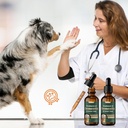 senior-dog-supplements-for-brain-health--4.jpg