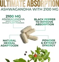ashwagandha-supplements---2100mg-ashwaga-3.jpg
