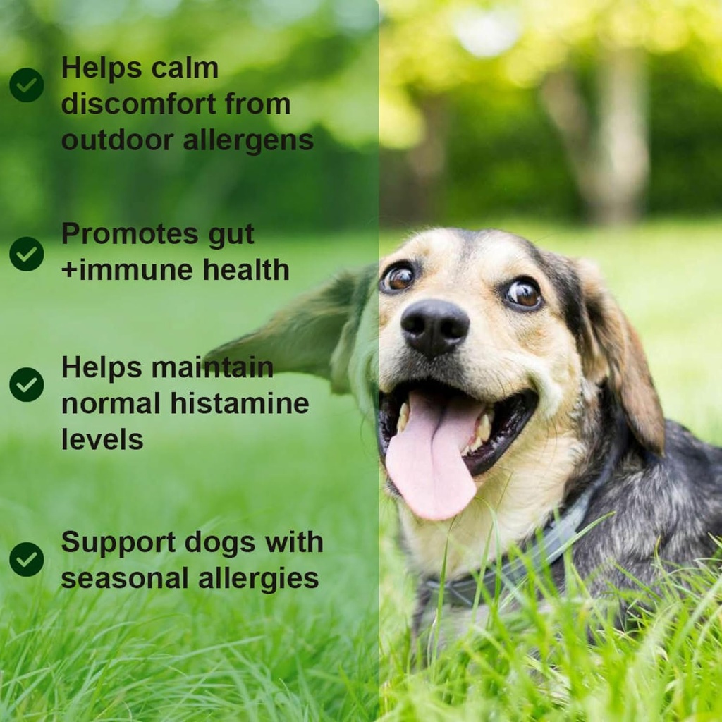 allergy-relief-chews-soothe-itchy-dogs-w-4.jpg
