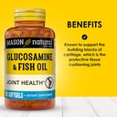 mason-natural-glucosamine-fish-oil-suppl-2.jpg