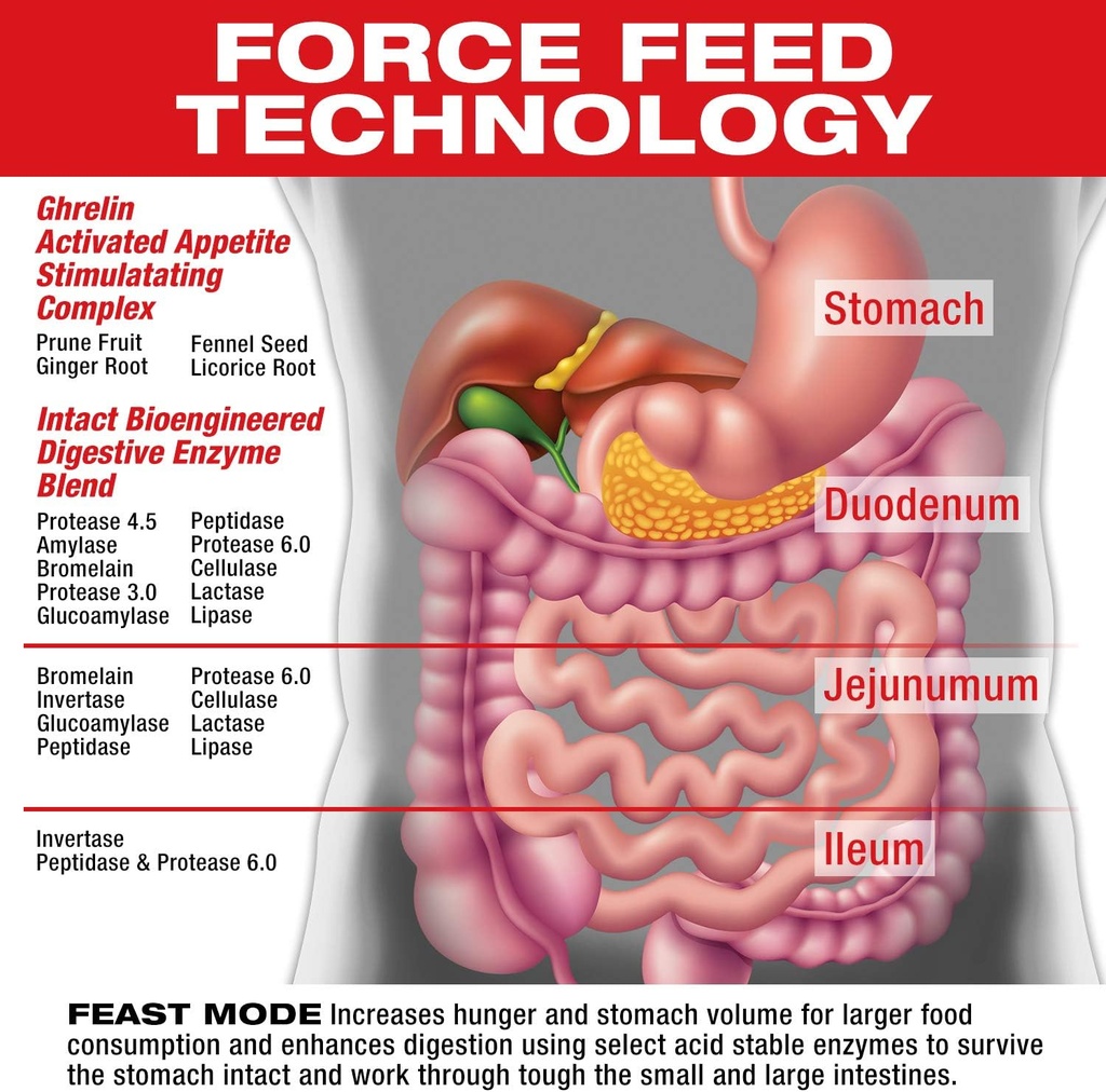 musclemeds-feast-mode-appetite-stimulant-3.jpg