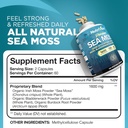 nutrivein-irish-sea-mos-capsules-and-tar-2.jpg