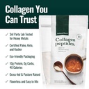 natural-force-clean-grass-fed-collagen-p-2.jpg