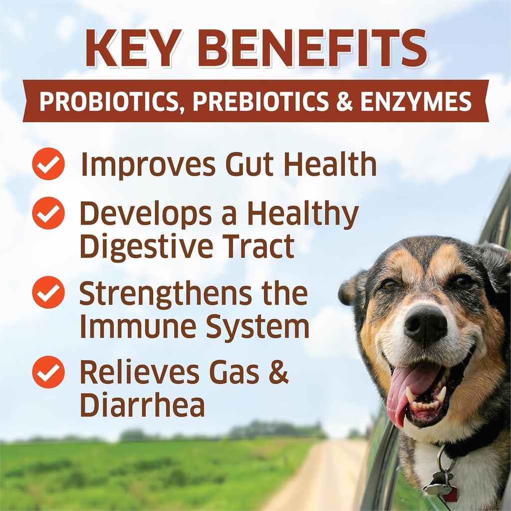probiotics-for-dogs---hot-spot-remedy-fo-2.jpg