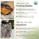 longevity-botanicals-organic-chaga-mushr-3.jpg