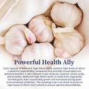 biopure-high-allicin-garlic-supplement-p-4.jpg