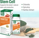 bell-stem-cell-supplements---supports-yo-3.jpg