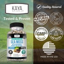 kaya-naturals-sea-moss---mobility-supple-4.jpg