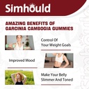 2-pack-sugar-free-garcinia-cambogia-gumm-4.jpg
