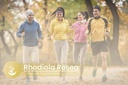 pure-original-ingredients-rhodiola-rosea-5.jpg